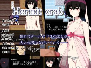 Hermit crab