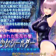 Destroyed Wall of Snowflakes - The Beautiful Shielder